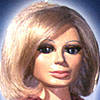 lady penelope